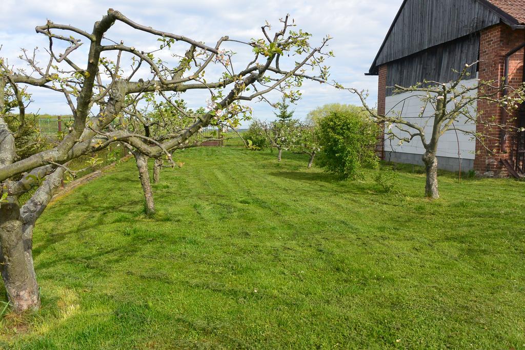 Rodinne Ubytovani - Family Accommodation Kobylice Eksteriør billede
